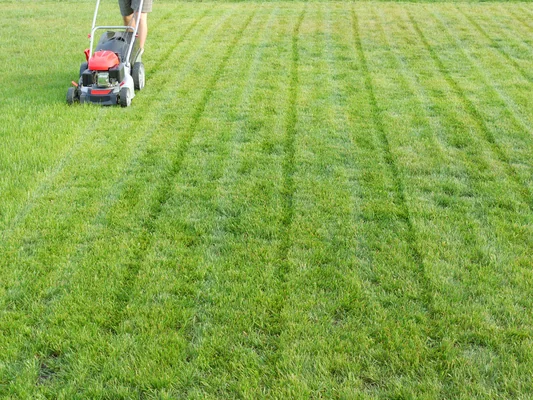 Lawn Mowing